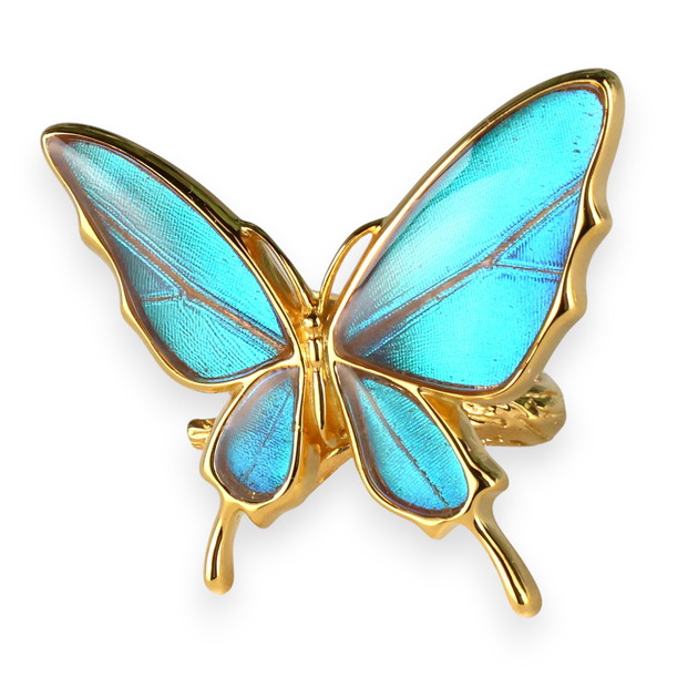 楽天市場】[スルコウスキーモルフォ] 本物の蝶の翅 舞い飛ぶ蝶 リング