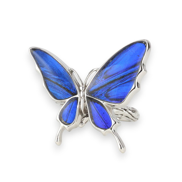 楽天市場】【スーパーセール◇10%OFF】[スルコウスキーモルフォ] 本物