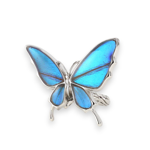 楽天市場】[スルコウスキーモルフォ] 本物の蝶の翅 舞い飛ぶ蝶 リング