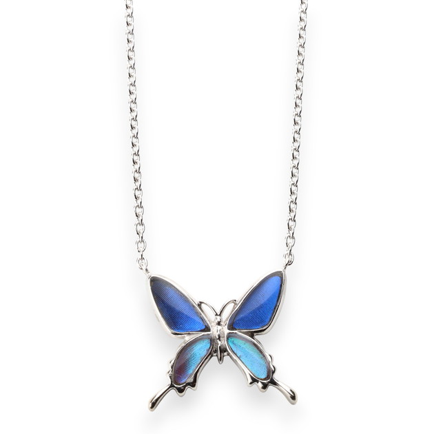 楽天市場】[ゼフィリティスモルフォ] 本物の蝶の翅 透かしデザイン