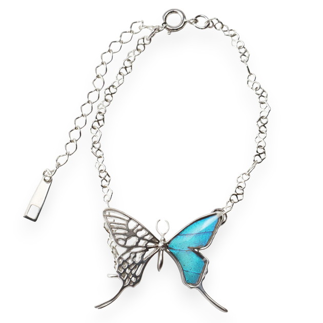 楽天市場】（Psyche/現品) 本物の蝶の翅 アゲハ蝶デザインリング