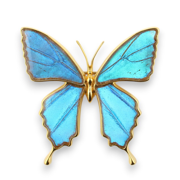 楽天市場】【スーパーセール◇10%OFF】(Psyche/現品) スルコウスキー