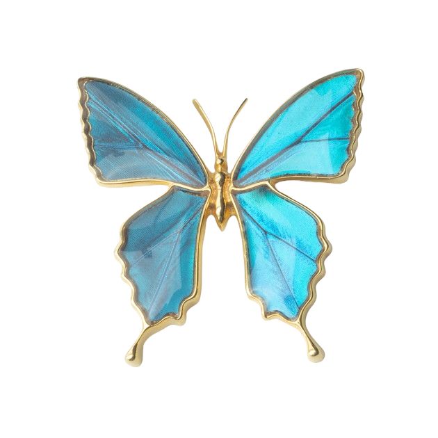 楽天市場 Psyche 現品 アゲハ蝶デザイン ブローチ兼ペンダント バタフライブローチ メネラウスモルフォ オウン ピー アクセサリー
