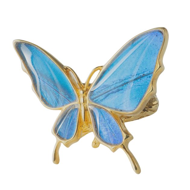 楽天市場】（Psyche/現品) 本物の蝶の翅 アゲハ蝶デザインリング