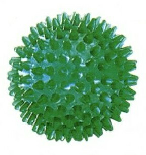 楽天市場】イタリア レードラプラスチック社製 ギムニク（Gymnic) リ