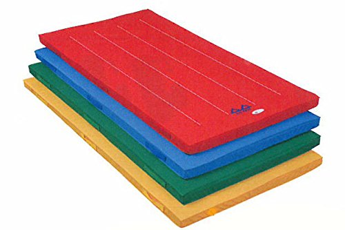【お届け先法人限定】【送料無料】ダンノ（DANNO) 　カラー体操マット120ｘ240　D-4632