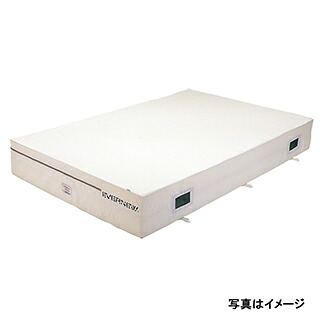【貨物輸送別途】【法人押さえる商いもの】エバニュー(EVERNEW) 抗菌屋内引っ敷き1．5×2×0．2 EGD221