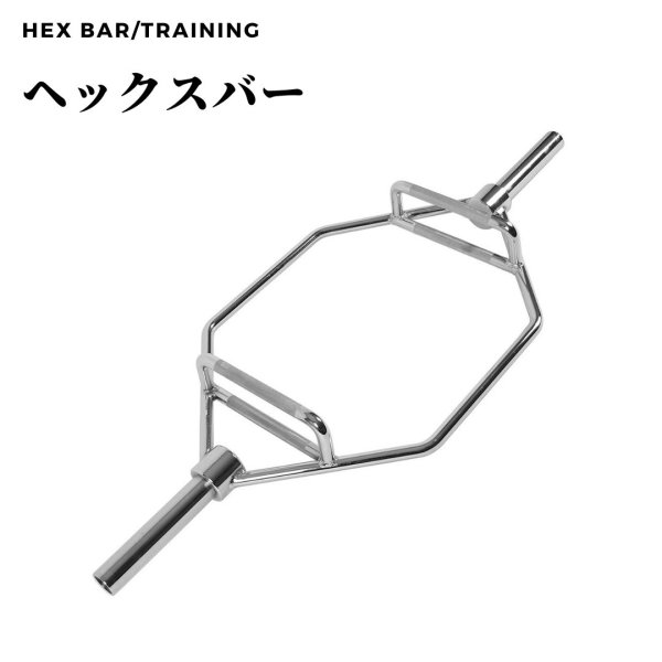 バードパラレルバー、スイスバー（５０mm） バードパラレルバー、スイスバー（50mm） バードパラレルバー