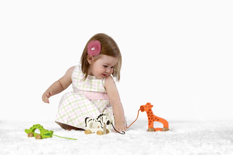 Zebra Hape E0909 Zebra Hape E0909