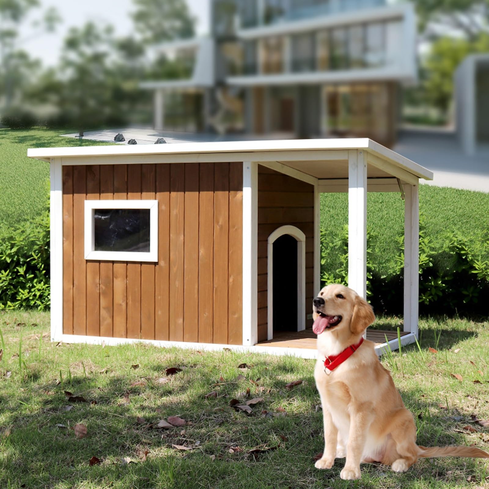 屋内用 醇乎たる材アスファルト大屋根犬掘ったて小屋 大型車寄せ付き添い人 小型犬から大型犬まで室外中庭用