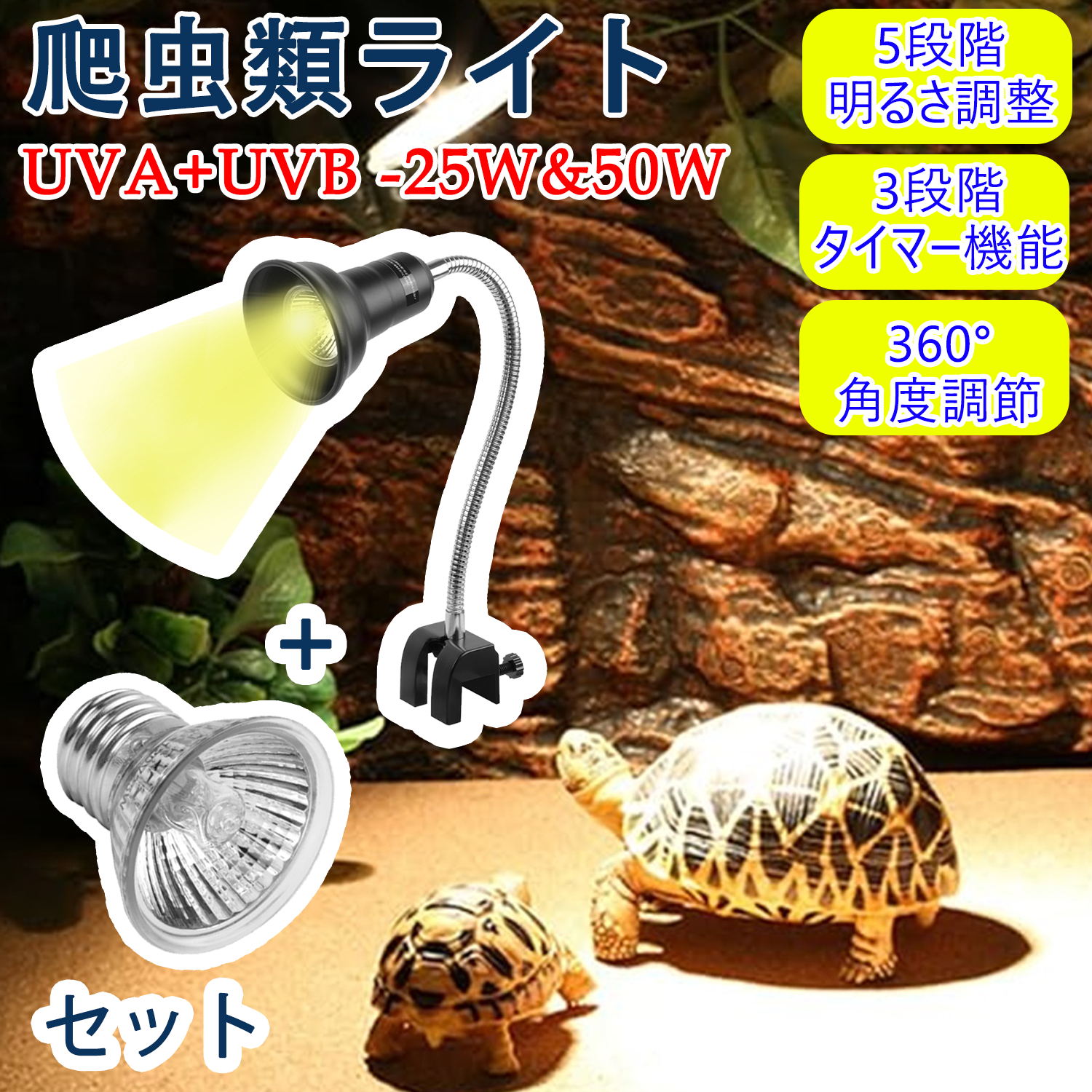 楽天市場】楽天1位獲得【SS期間限定！5倍P＆10％OFF券付】 爬虫類