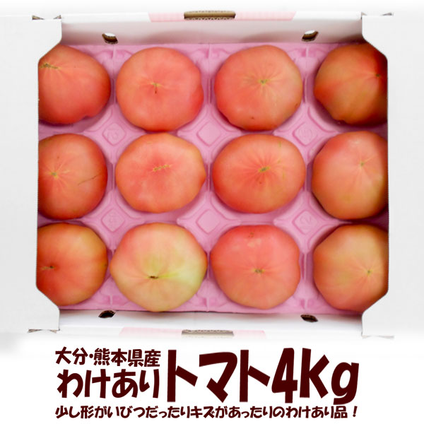 楽天市場】熊本県産 トマト 等級A・L〜2Lサイズ（16〜20玉入