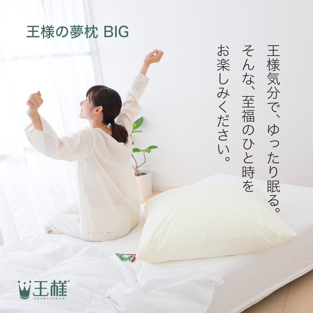 王者状態の夢敷き栲 Big 専用被うラッキー 王様持ち前でのそりとねね物が成る大判枕 枕 まくら 王様 夢枕 ビーズ 快眠 安眠枕 年がしら半身 謀反 頸椎 分量さ統制 馬鹿でかい ビッグ N 3 てて親の日曜 あすやすい対応 Digitalland Com Br