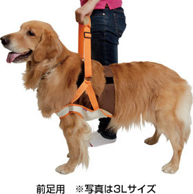 楽天市場】【大型犬用介護用品】歩行補助ハーネス（後部用／XL