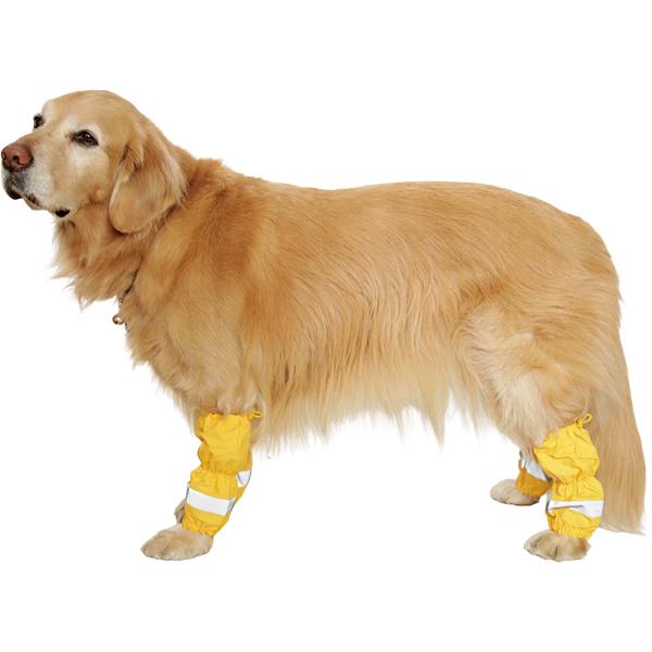 楽天市場】ALPHAICON アルファアイコン ドッグウェア MLサイズ＜ホット