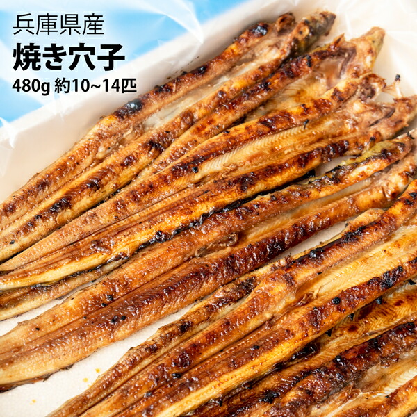 楽天市場 瀬戸内海 焼穴子 480g入 約10 14匹 送料無料 瀬戸内海の高級穴子秘伝のタレで焼き上げます あなご 穴子 焼き穴子 焼穴子 Oyster Sisters