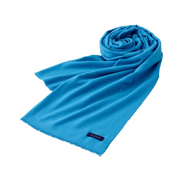 ストール カシミンク ライトブルー 青 無地 ストール パーティー ギフト メンズ おしゃれ レディース ブランド プレゼント 誕生日 男 ショール 高級 秋 冬 防寒 男性 彼氏 旦那 Fitzfishponds Com