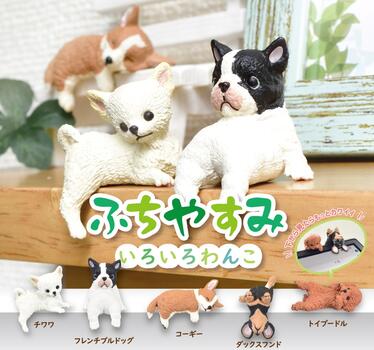 楽天市場】つぶら犬 ミニチュアサイズの可愛小犬 小型犬