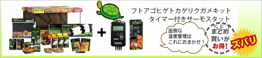 GEXモンスーンソロ 【カメレオンなど 爬虫類 自動ミスト 霧吹き
