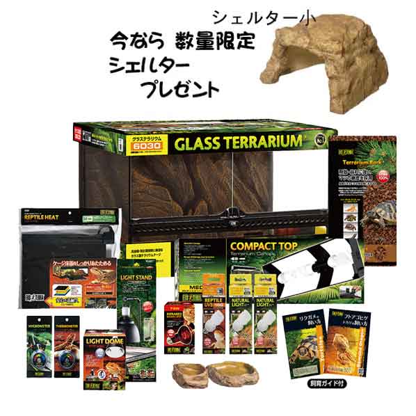 楽天市場】ジェックス フトアゴヒゲトカゲ&リクガメ飼育セットBK1 : ペットマーケットアニマル