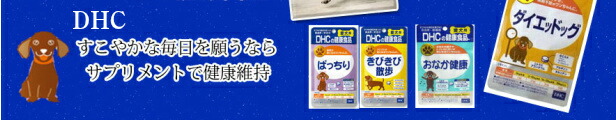 楽天市場】今ならシェルターのおまけ付きジェックスフトアゴヒゲトカゲリクガメ飼育セットBセット（シェルター小） : ペットマーケットアニマル