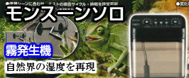 楽天市場】【自動ミスト加湿器】モンスーンソロ｜カメレオン・樹上性