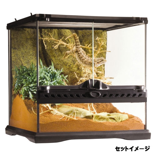 楽天市場】ジェックス フトアゴヒゲトカゲ&リクガメ飼育セット