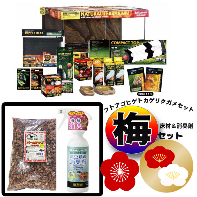 楽天市場】ジェックス フトアゴヒゲトカゲ&リクガメ飼育セット 楽天市場】ジェックス フトアゴヒゲトカゲ&リクガメ飼育セット