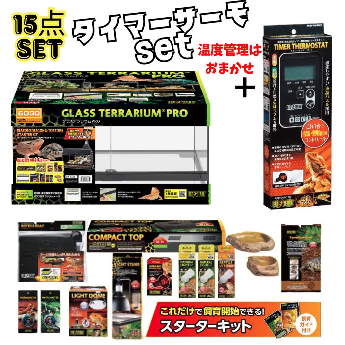 楽天市場】スーパーセール【フトアゴヒゲトカゲ リクガメ飼育Bセット