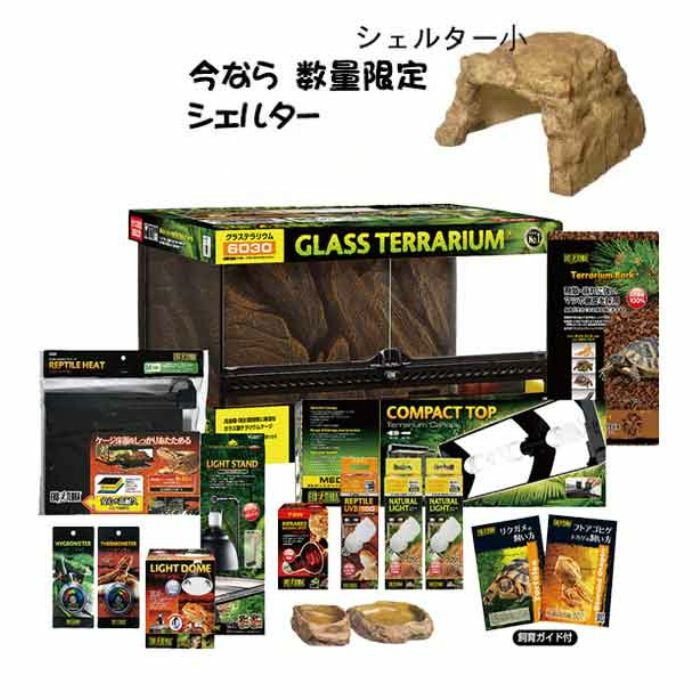 しろ□90サイズ爬虫類ゲージ、爬虫類ケージ、リクガメ、フトアゴ 楽天市場】スーパーセール【初心者向け】フトアゴヒゲトカゲ＆リクガメ