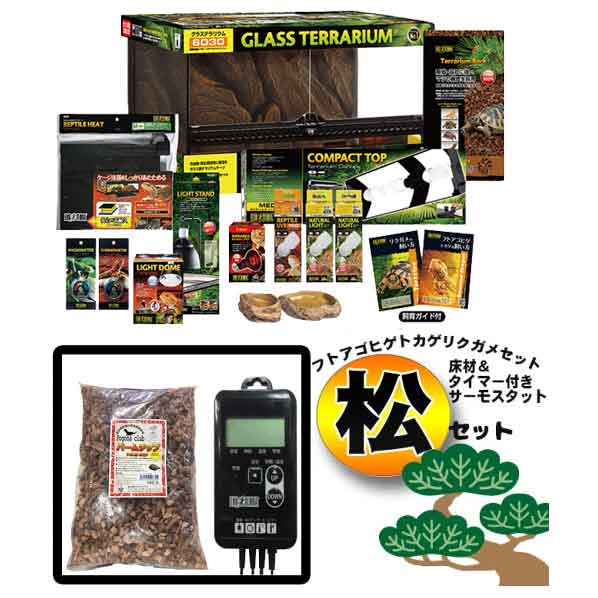 楽天市場】ジェックスフトアゴヒゲトカゲ&リクガメ飼育セットB