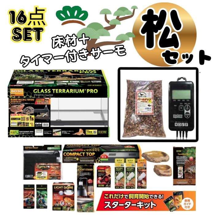 楽天市場】【フトアゴヒゲトカゲ リクガメ飼育Bセット（シェルター小