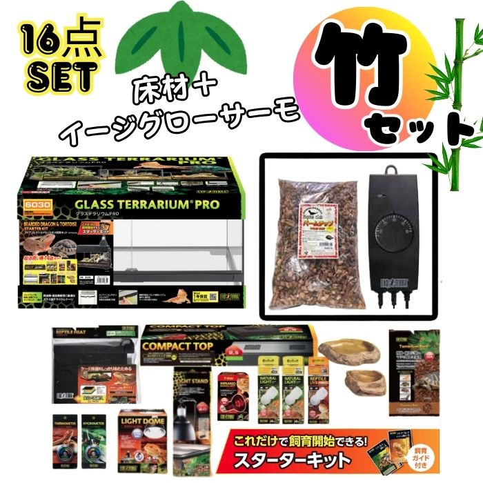 楽天市場】【フトアゴヒゲトカゲ リクガメ飼育Bセット（シェルター小