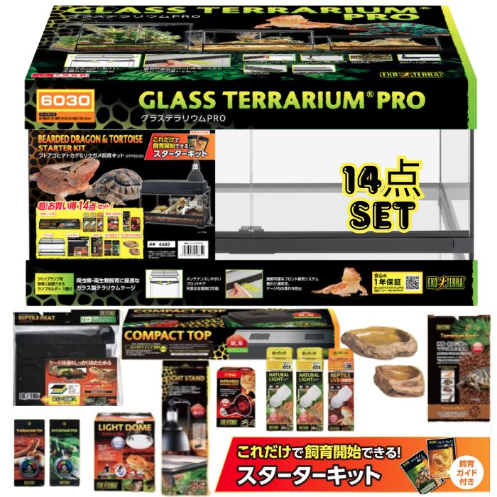 楽天市場】【自動ミスト加湿器】モンスーンソロ｜カメレオン・樹上性