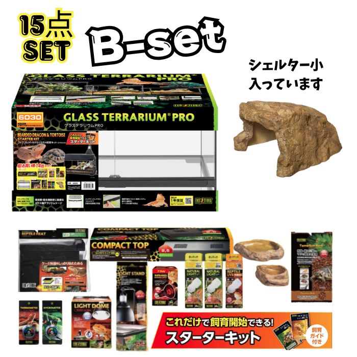 楽天市場】【初心者向け】フトアゴヒゲトカゲ＆リクガメ飼育セットA