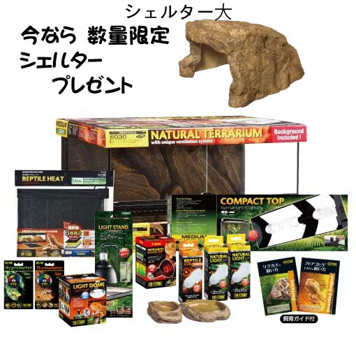 楽天市場】ジェックスフトアゴヒゲトカゲ&リクガメ飼育セットBセット