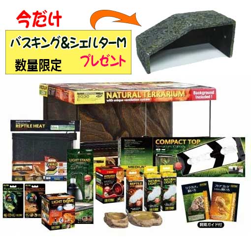 楽天市場】ジェックスフトアゴヒゲトカゲ&リクガメ飼育セットBセット