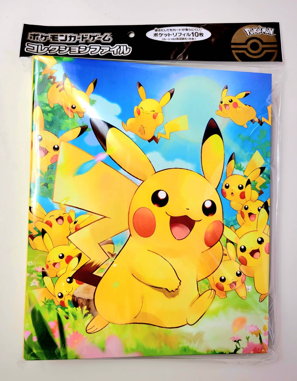 ポケモン - 新品 ポケモンカード コレクションファイル イーブイヒーローズ・ピカチュウの森 ポケモンカード コレクションファイル ピカチュウの森