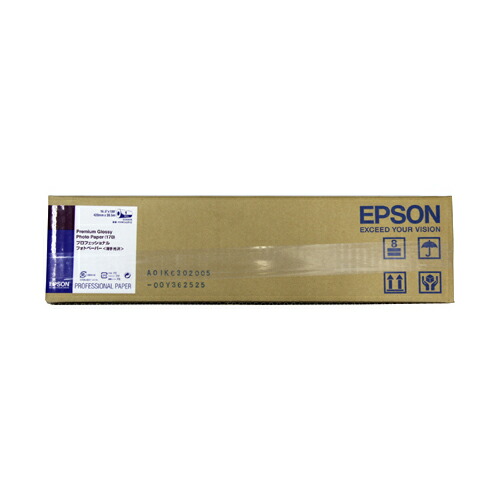 【お取寄せ品】 エプソン　プロフェッショナルフォトペーパー（薄手光沢）　Ａ２ロール　４２０ｍｍ×３０.５ｍ　ＰＸＭＣＡ２Ｒ１２　１本 【送料無料】