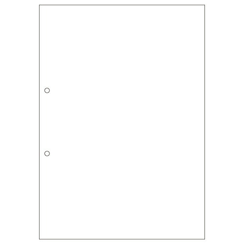 【お取寄せ品】 ヒサゴ　マルチプリンタ帳票（ＦＳＣ森林認証紙）　Ａ４　白紙　２穴　ＦＳＣ２００１Ｚ　１箱（１２００枚） 【送料無料】