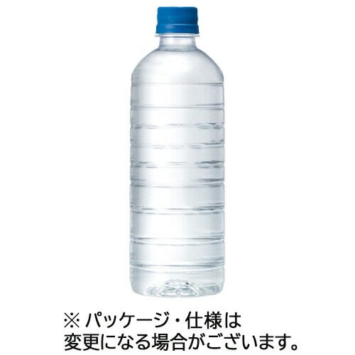 キリンビバレッジ　自然が磨いた天然水　ラベルレス　６００ｍＬ　ペットボトル　１セット（４８本：２４本×２ケース） 【送料無料】