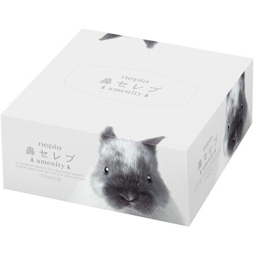 ポイントアップキャンペーン