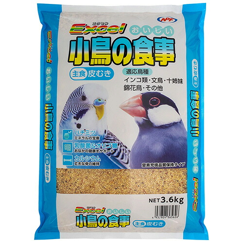 ポイントアップキャンペーン