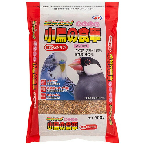 ポイントアップキャンペーン