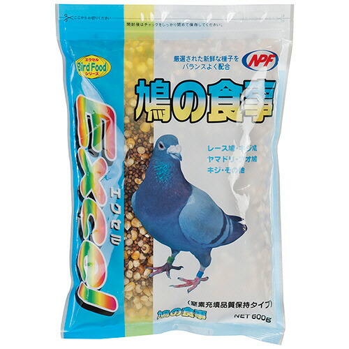 ポイントアップキャンペーン