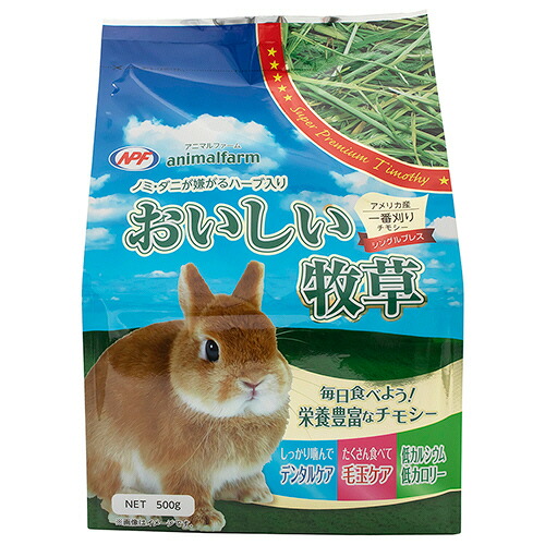 ポイントアップキャンペーン