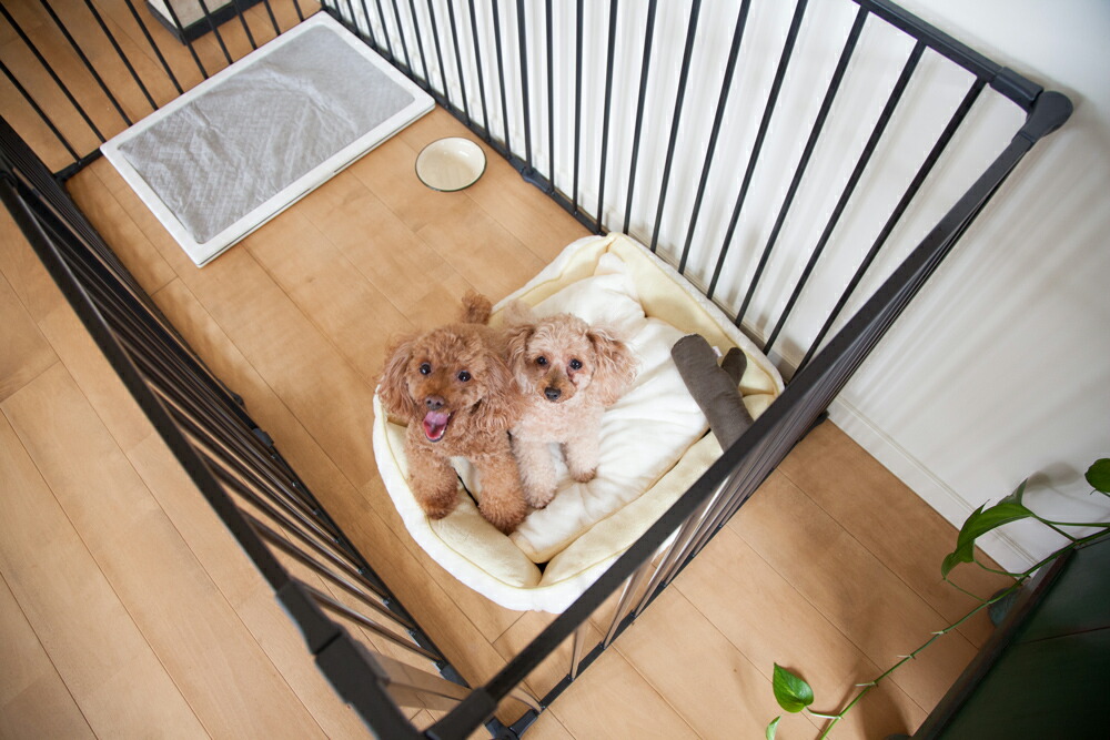 6枚セット スチール製 Scandinavian ブラック ケージ 送料無料 Design ペット 通信販売 スカンジナビアンペット スマイル Xxl Pet ファイヤーサイド 北欧 おしゃれ ドッグ サークル おとどけスマイルワン 税込3980円以上で送料無料 6枚セット スチール製 Scandinavian ブラック ケージ 送料無料 Design ペット 通信販売 スカンジナビアンペット スマイル Xxl Pet ファイヤーサイド 北欧 おしゃれ ドッグ サークル おとどけスマイルワン 税込3980円以上で送料無料