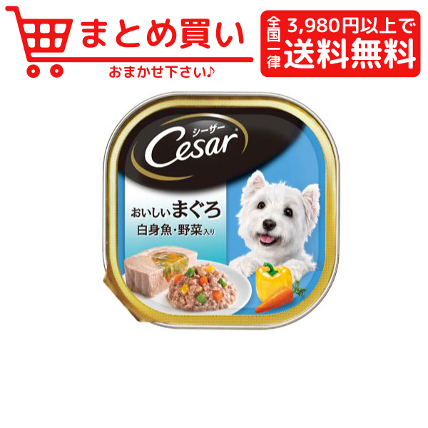 安い購入 シーザー おいしいまぐろ 送料無料 ウェット トレイ ドッグ 犬 フード ペット A マースジャパン 100g 96個 白身魚 野菜入り ドッグフード サプリメント Www Theashleycentre Co Uk