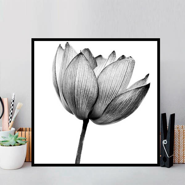 43 43cm アートパネル 2枚セット 枠付きフレーム絵画 モノクロ 鉛筆画タッチ 蓮の花 ロータス 壁掛け インテリア絵画 ウォールデコ Lacajadebrillo Com