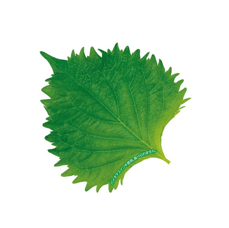 楽天市場】【バラ販売】グルメシート 抗菌 大葉 丸（約80φ）（1箱